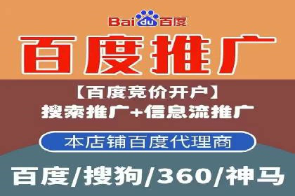 实战技巧：竞价推广案例解析与效果评估